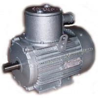 Asynchronous electric motor