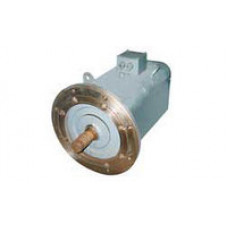 DC motors type PNZh-132