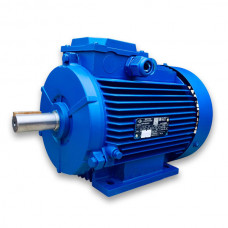 Multi-speed electric motor